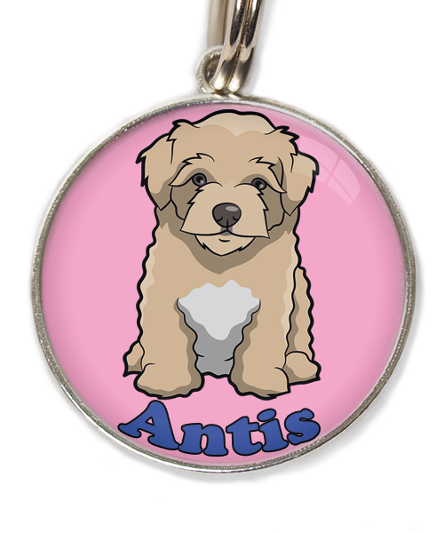 maltipoo-beige-met-naam-los-huisdierpenning-lichtroos-2