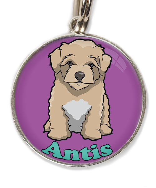maltipoo-beige-met-naam-los-huisdierpenning-lilla-2