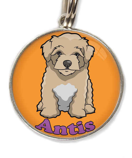 maltipoo-beige-met-naam-los-huisdierpenning-oranje-2
