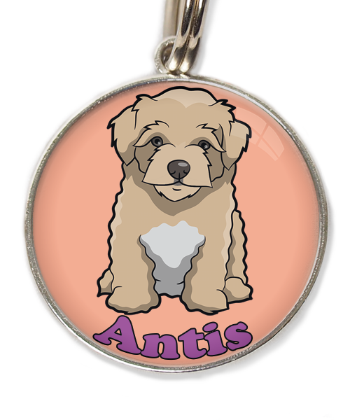 maltipoo-beige-met-naam-los-huisdierpenning-peach-2