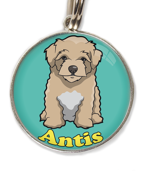 maltipoo-beige-met-naam-los-huisdierpenning-turquoise-2