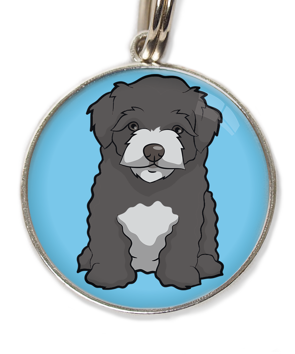 maltipoo-zwart-huisdierpenning-lichtblauw