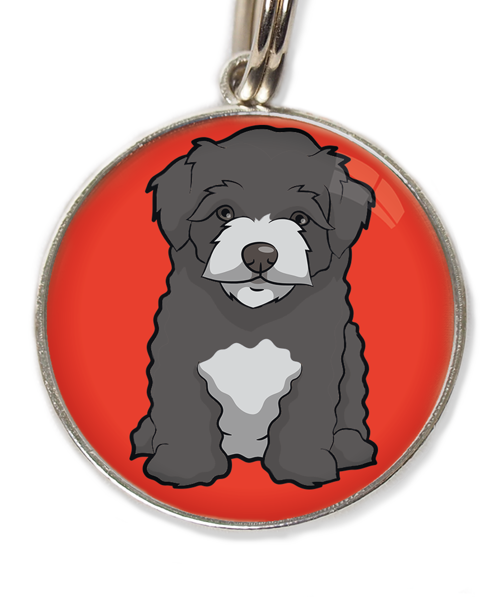maltipoo-zwart-huisdierpenning-rood