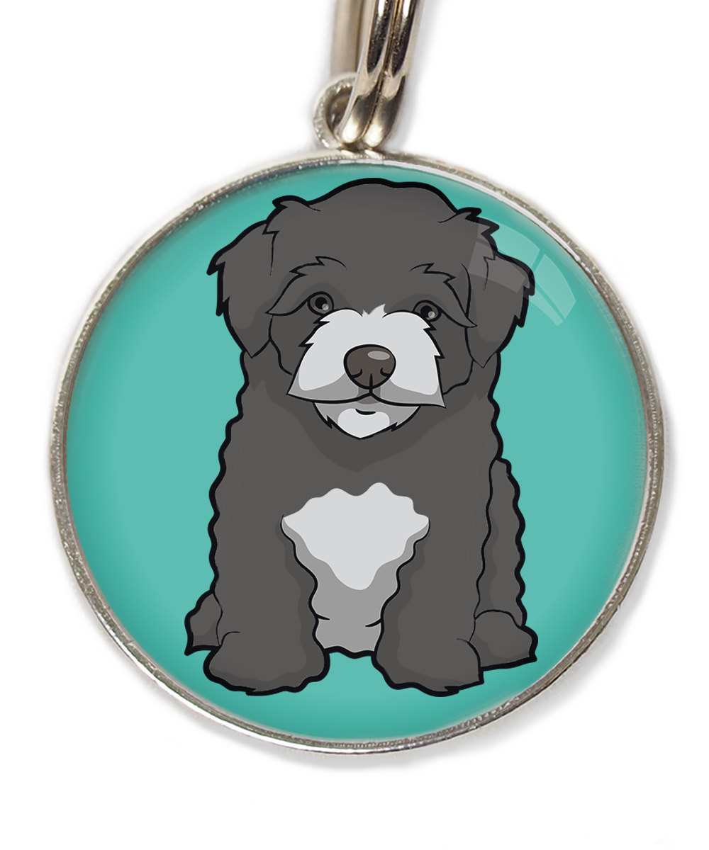 maltipoo-zwart-huisdierpenning-turquoise