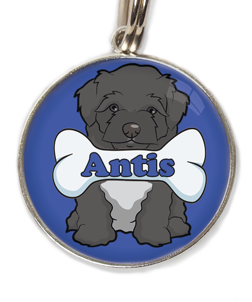 maltipoo-zwart-met-naam-been-huisdierpenning-blauw-2