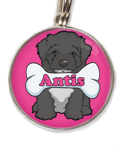 maltipoo-zwart-met-naam-been-huisdierpenning-fushia-1