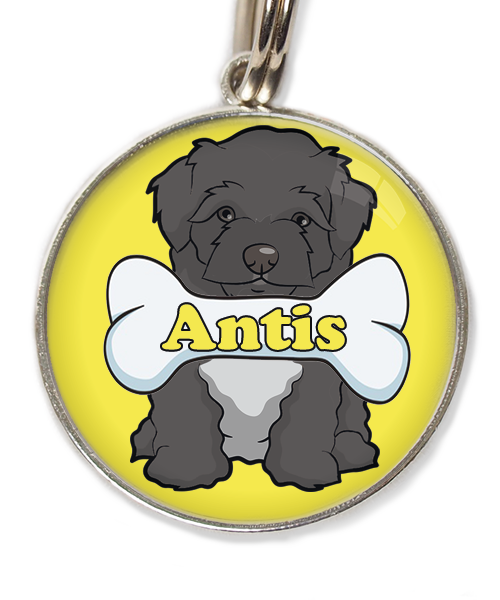 maltipoo-zwart-met-naam-been-huisdierpenning-geel-2