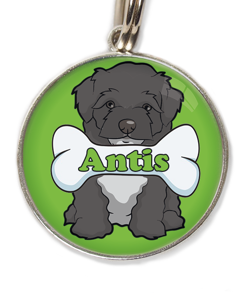 maltipoo-zwart-met-naam-been-huisdierpenning-groen-1