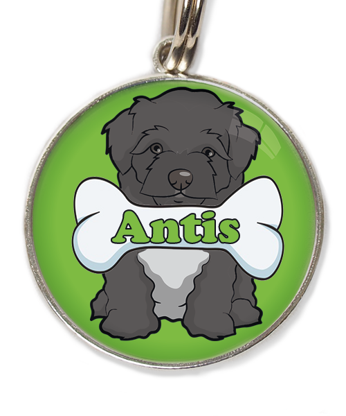 maltipoo-zwart-met-naam-been-huisdierpenning-groen-2