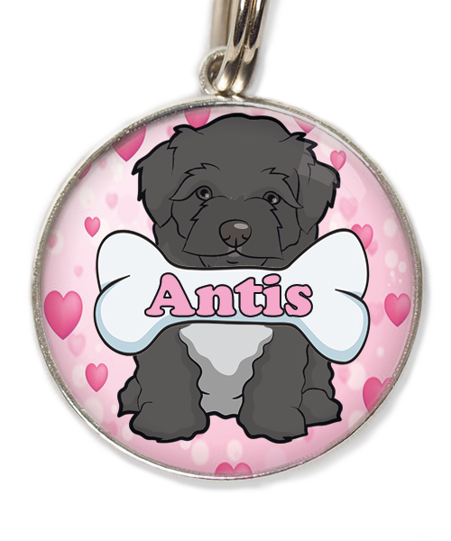 maltipoo-zwart-met-naam-been-huisdierpenning-hartjes-2