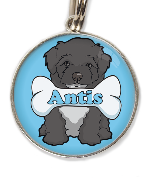 maltipoo-zwart-met-naam-been-huisdierpenning-lichtblauw-1