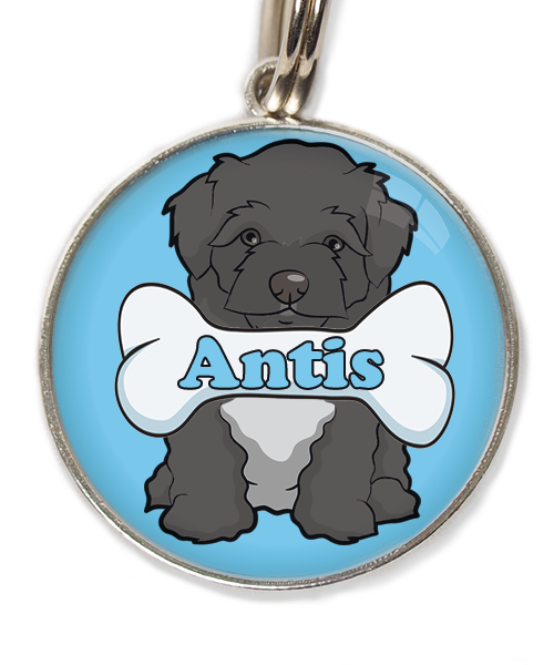 maltipoo-zwart-met-naam-been-huisdierpenning-lichtblauw-2