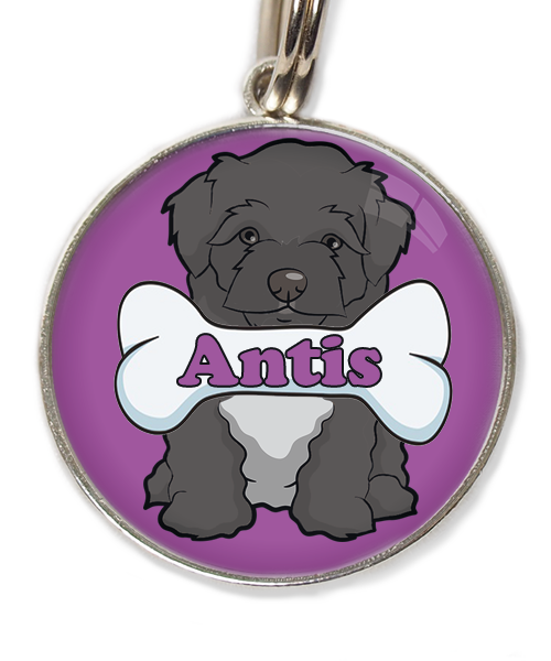maltipoo-zwart-met-naam-been-huisdierpenning-lilla-2