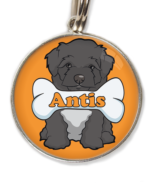 maltipoo-zwart-met-naam-been-huisdierpenning-oranje-2
