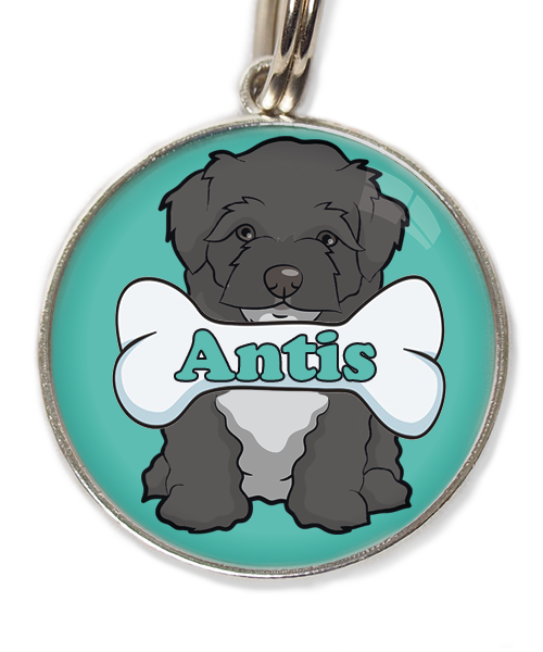 maltipoo-zwart-met-naam-been-huisdierpenning-turquoise-1