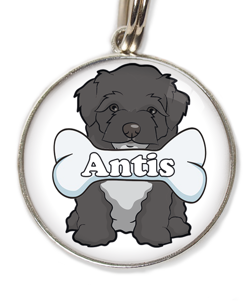 maltipoo-zwart-met-naam-been-huisdierpenning-wit-1