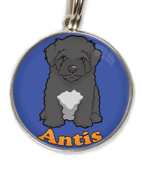 maltipoo-zwart-met-naam-los-huisdierpenning-blauw-2
