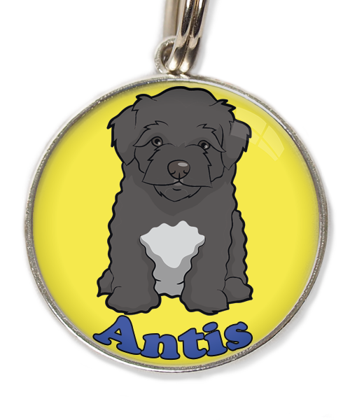 maltipoo-zwart-met-naam-los-huisdierpenning-geel-2