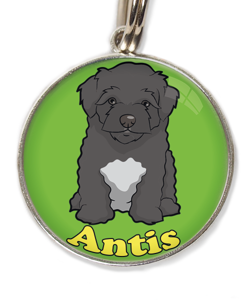 maltipoo-zwart-met-naam-los-huisdierpenning-groen-2