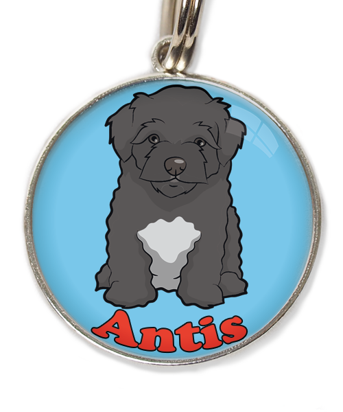 maltipoo-zwart-met-naam-los-huisdierpenning-lichtblauw-2