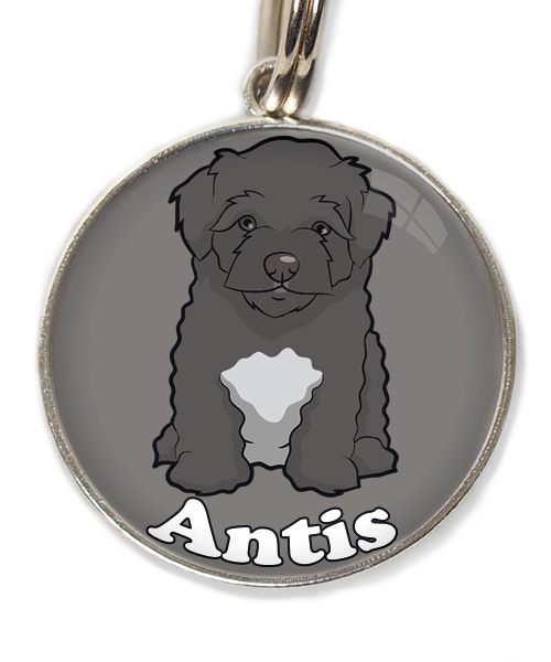 maltipoo-zwart-met-naam-los-huisdierpenning-lichtgrijs-2