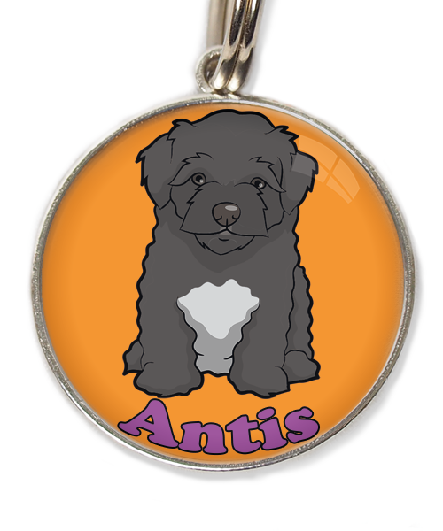 maltipoo-zwart-met-naam-los-huisdierpenning-oranje-2