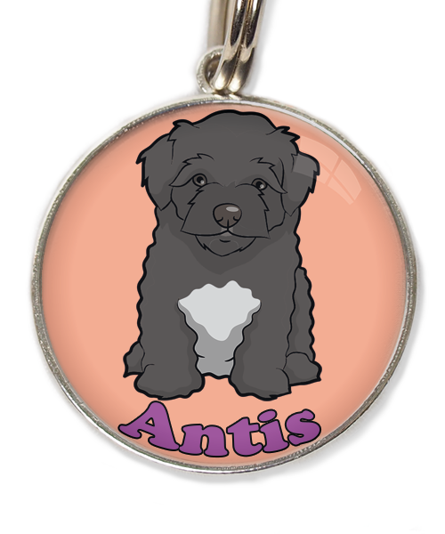 maltipoo-zwart-met-naam-los-huisdierpenning-peach-2