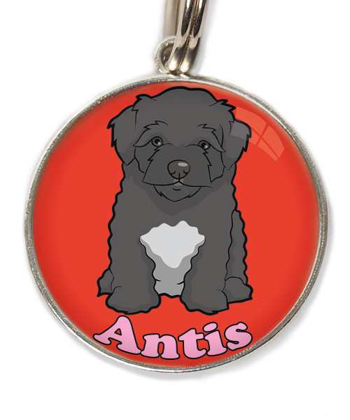 maltipoo-zwart-met-naam-los-huisdierpenning-rood-2