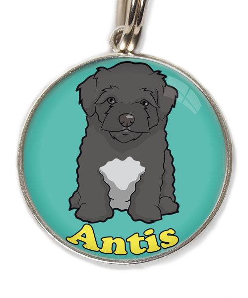 maltipoo-zwart-met-naam-los-huisdierpenning-turquoise-2