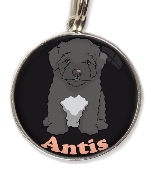 maltipoo-zwart-met-naam-los-huisdierpenning-zwart-2