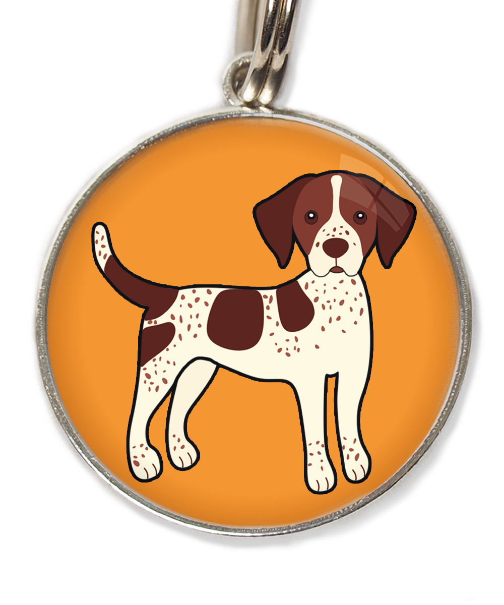 pointerbruinpsd-huisdierpenning-oranje