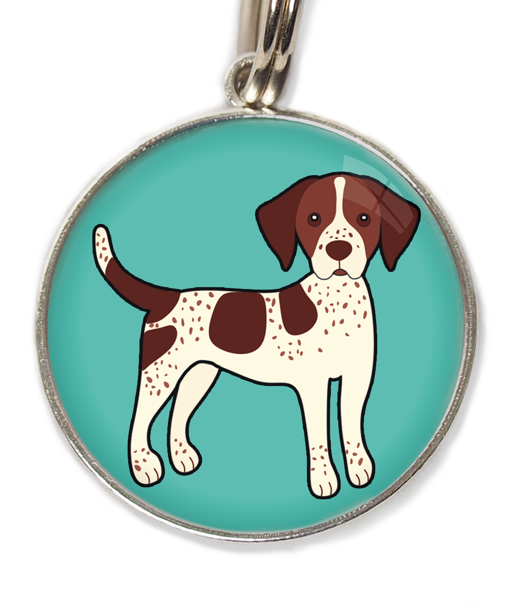 pointerbruinpsd-huisdierpenning-turquoise