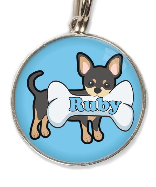 zwarte-chihuahua-2-met-naam-been-huisdierpenning-lichtblauw