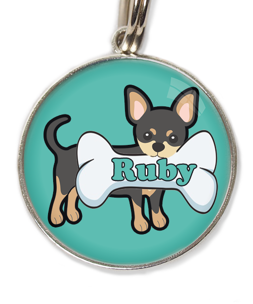 zwarte-chihuahua-2-met-naam-been-huisdierpenning-turquoise