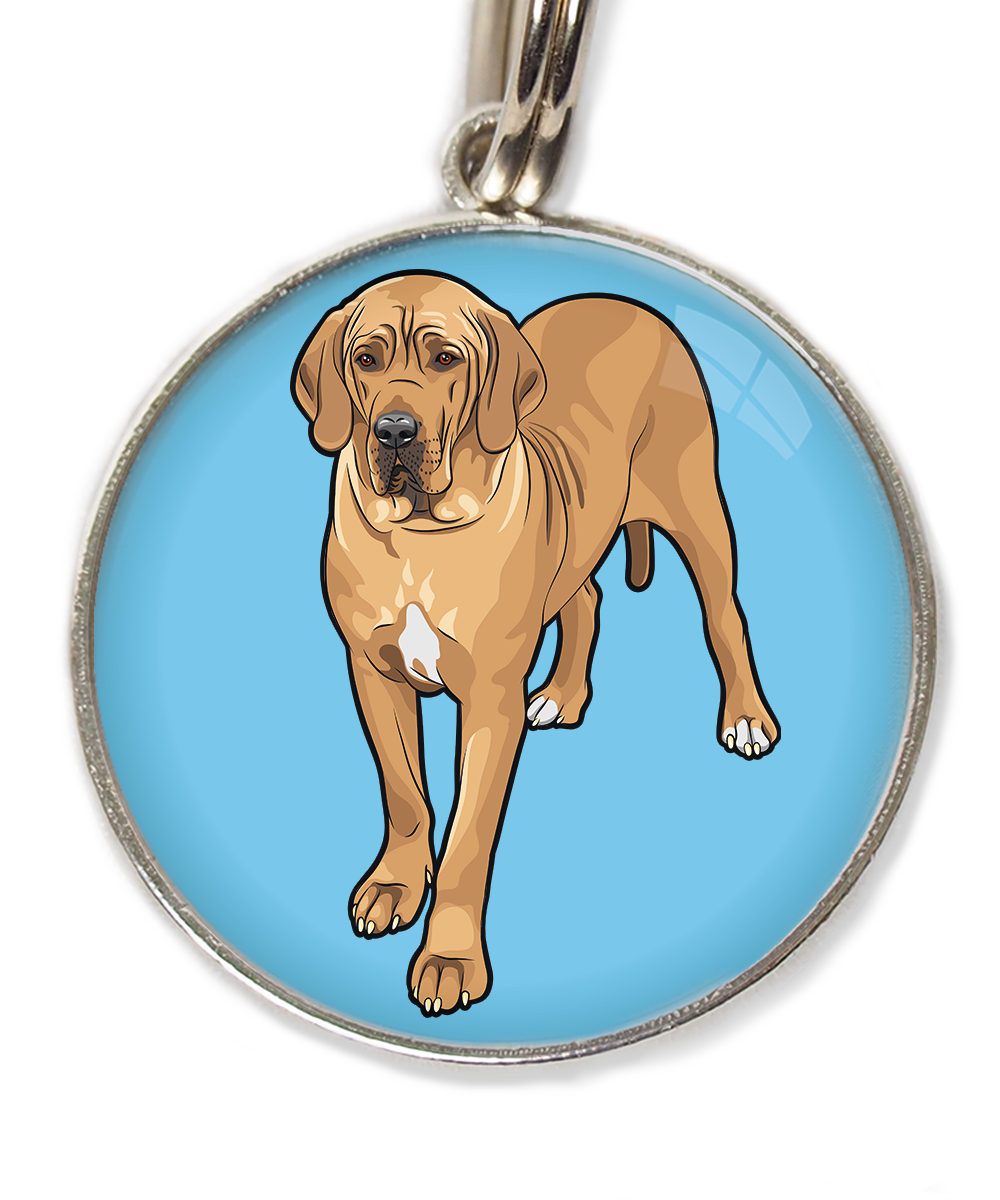 deense-dog-freepik-huisdierpenning-lichtblauw