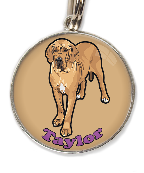 deense-dog-freepik-met-naam-los-huisdierpenning-beige