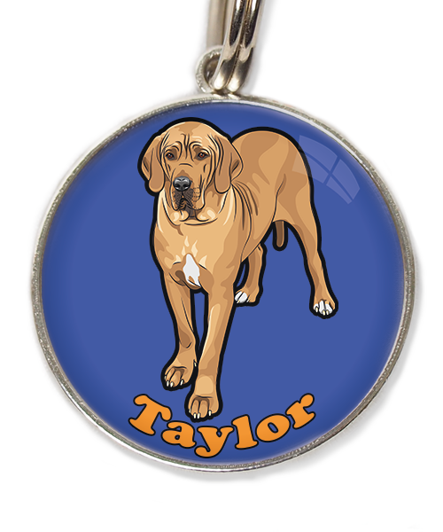 deense-dog-freepik-met-naam-los-huisdierpenning-blauw