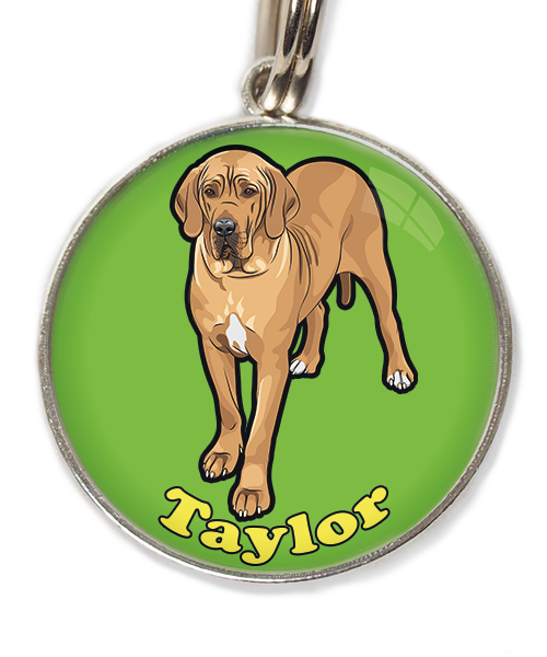 deense-dog-freepik-met-naam-los-huisdierpenning-groen