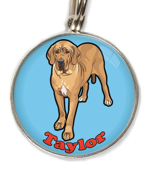 deense-dog-freepik-met-naam-los-huisdierpenning-lichtblauw