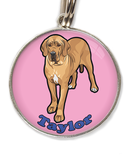 deense-dog-freepik-met-naam-los-huisdierpenning-lichtroos