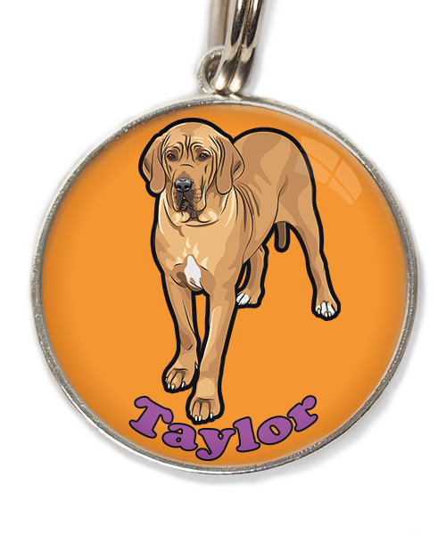 deense-dog-freepik-met-naam-los-huisdierpenning-oranje