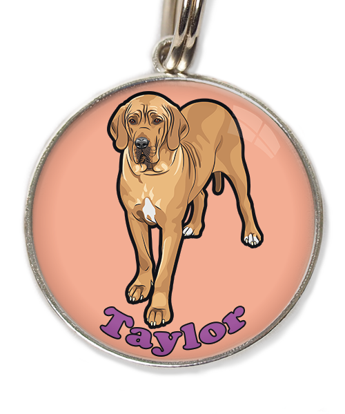 deense-dog-freepik-met-naam-los-huisdierpenning-peach