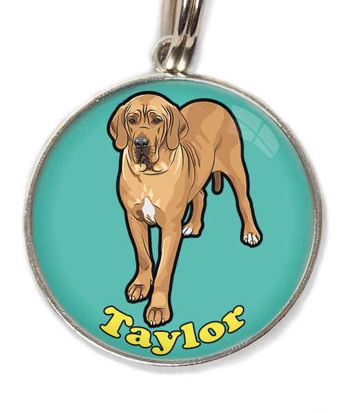 deense-dog-freepik-met-naam-los-huisdierpenning-turquoise