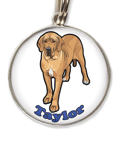 deense-dog-freepik-met-naam-los-huisdierpenning-wit