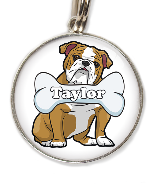 engelse-bulldog-met-naam-been-huisdierpenning-wit