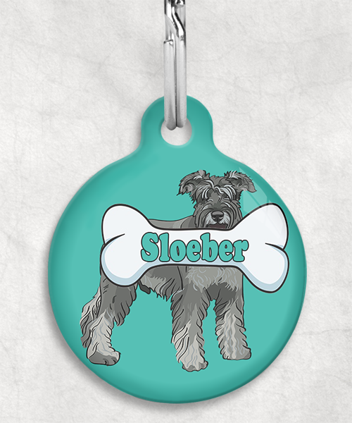 schnauzer-Naam-Been-huisdierpenning-turquoise-1