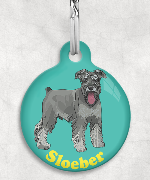 schnauzer-Naam-Los-huisdierpenning-turquoise