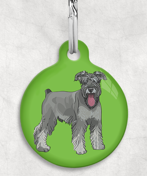 schnauzer-Zonder-Naam-huisdierpenning-groen