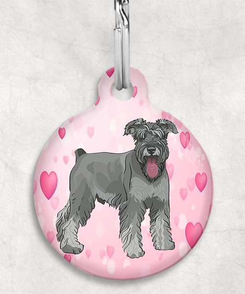 schnauzer-Zonder-Naam-huisdierpenning-hartjes