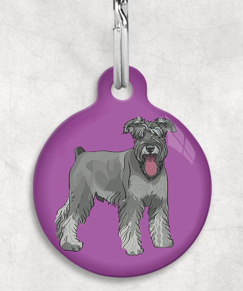 schnauzer-Zonder-Naam-huisdierpenning-lilla